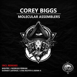 Cover of Molecular Assemblers