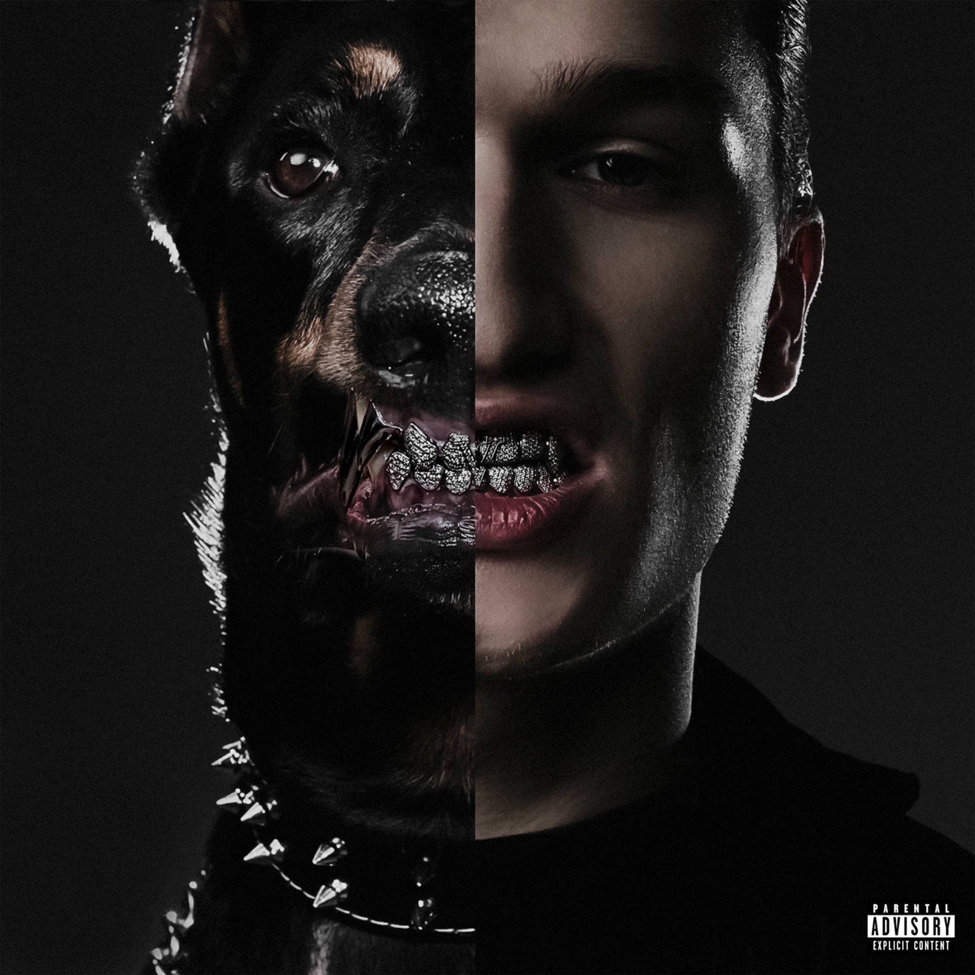 Album cover of Project V