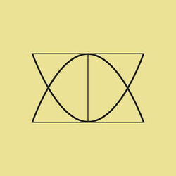 Cover of Flowing Ions