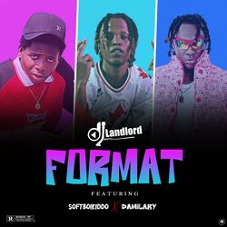 Cover of Format