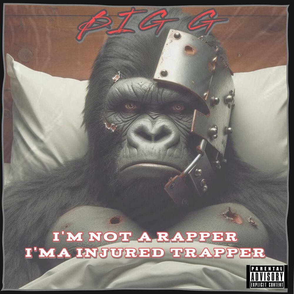 Picture of I'm Not a Rapper I'ma Injured Trapper