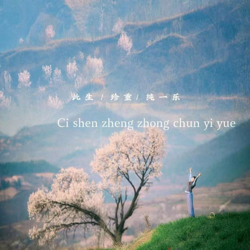 纯一乐《此生珍重》系列纯音乐专辑