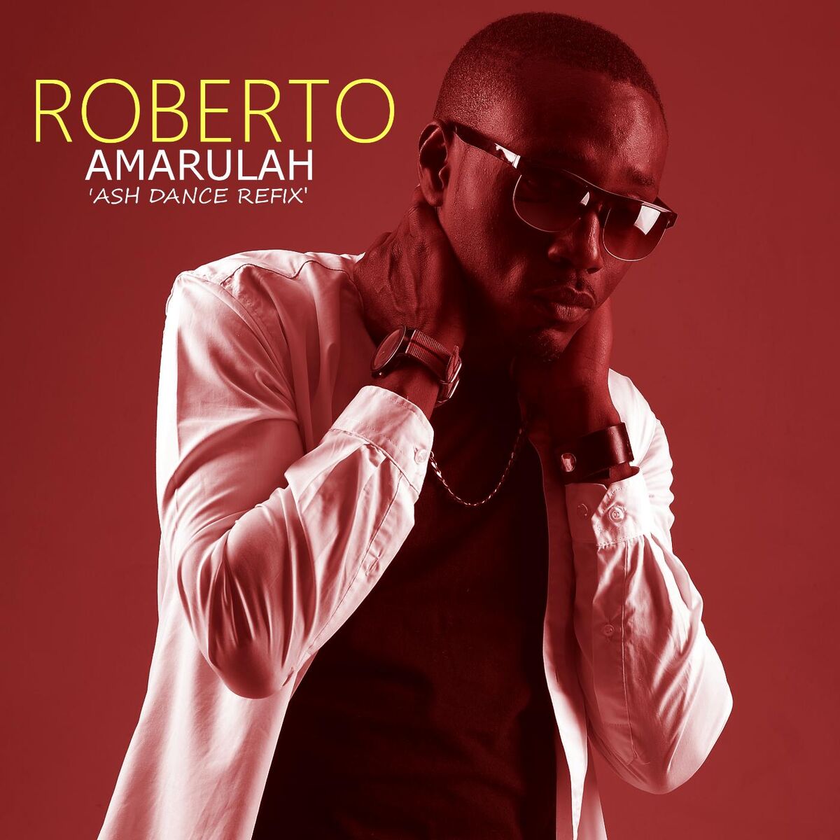 Album cover of Amarulah (Ash Dance ReFix)