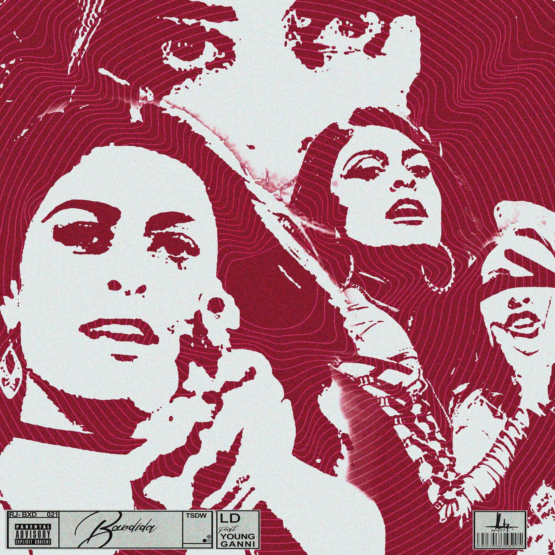 Album cover of Bandida