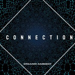 Cover of Connection