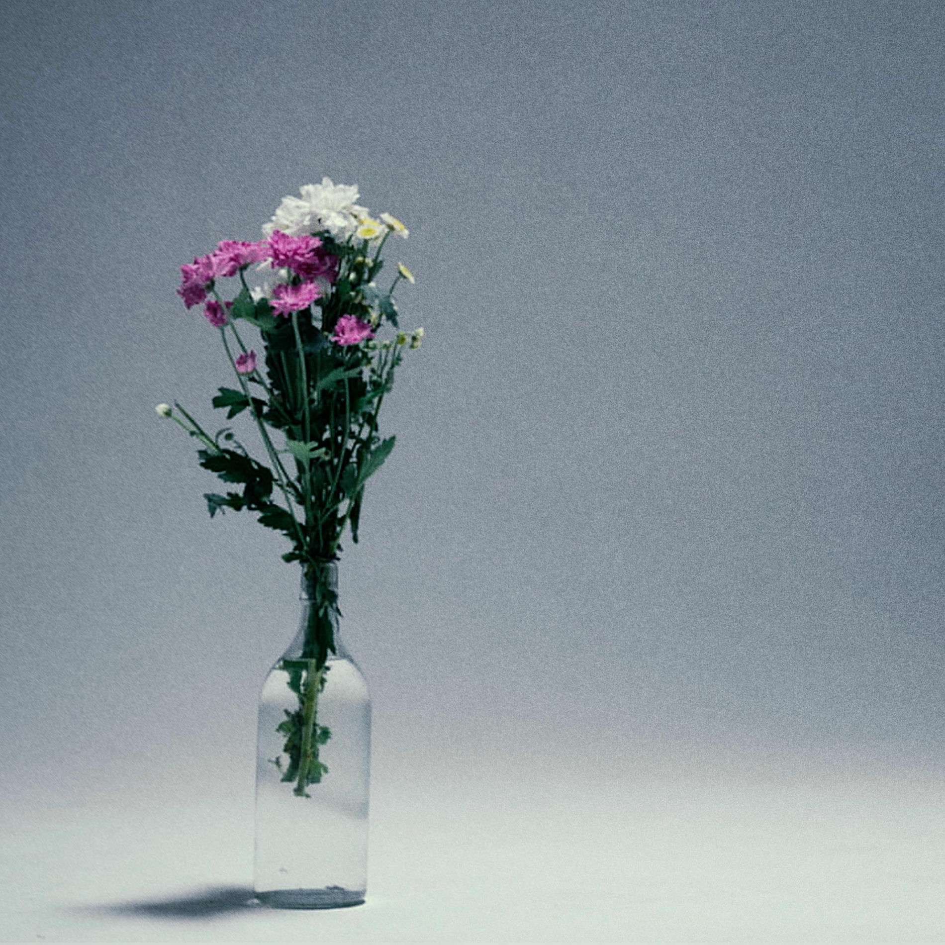 Album cover of Cry For Me (feat. onyourknees)