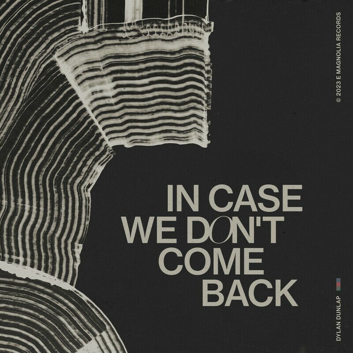 Album cover of In Case We Do