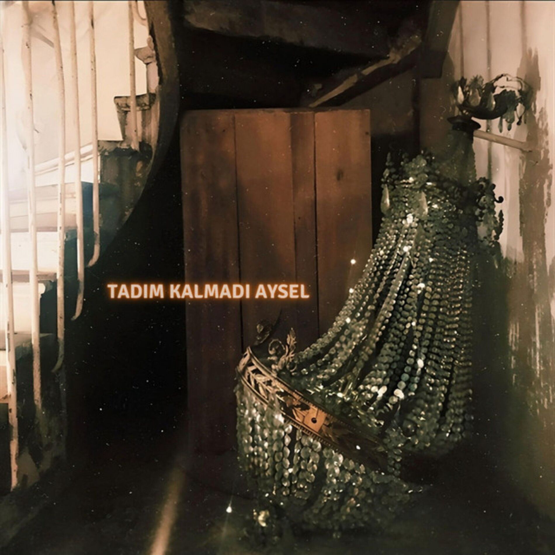 Album cover of TADIM KALMADI AYSEL