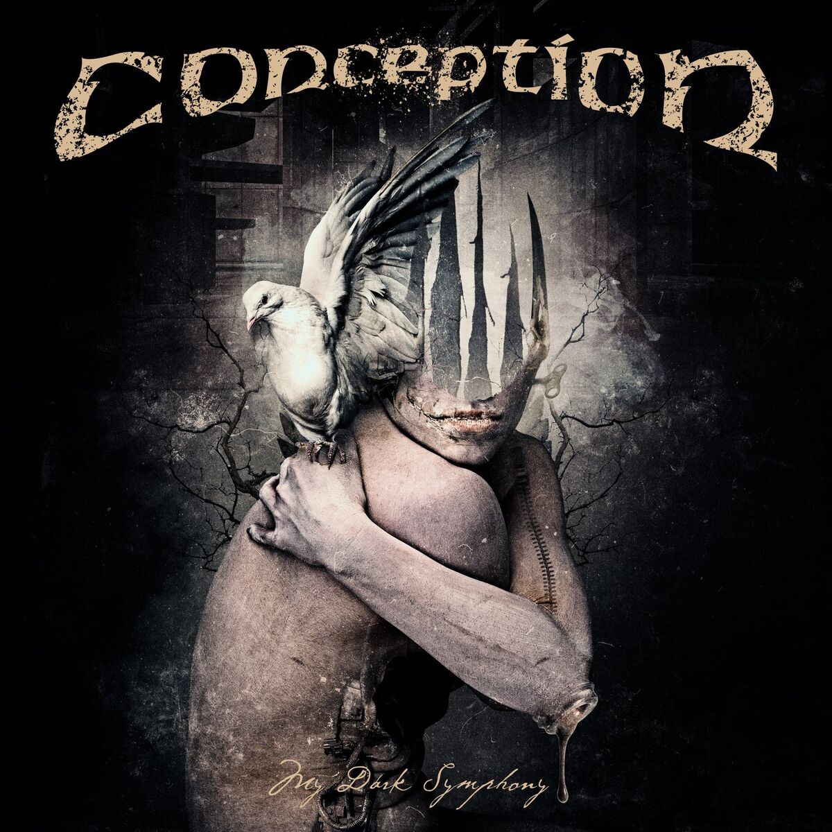 Album cover of My Dark Symphony