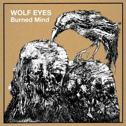 Cover of Burned Mind