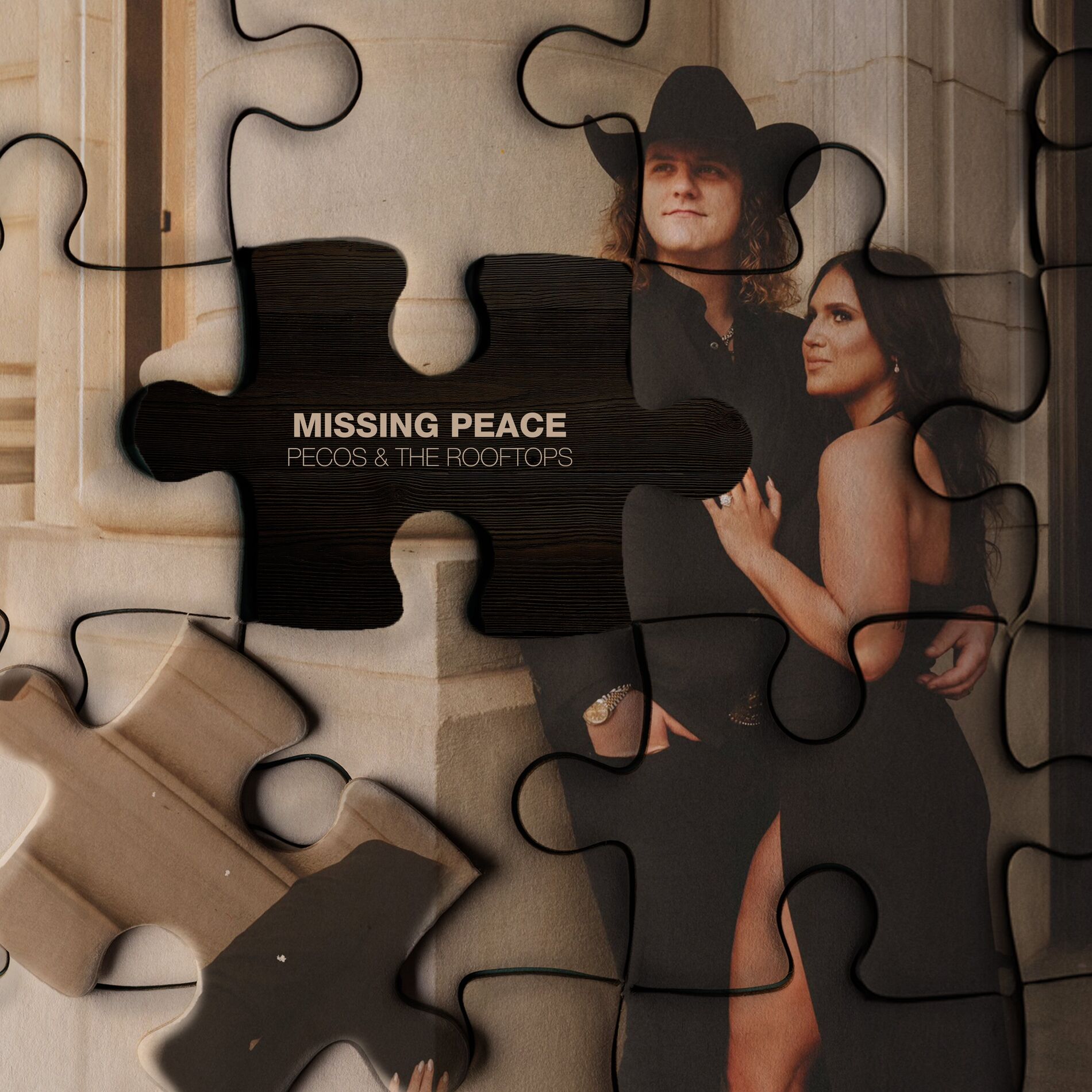 Album cover of Missing Peace