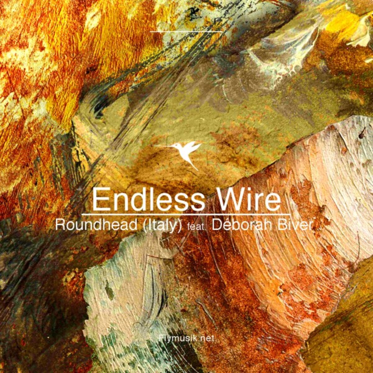 Album cover of Endless Wire
