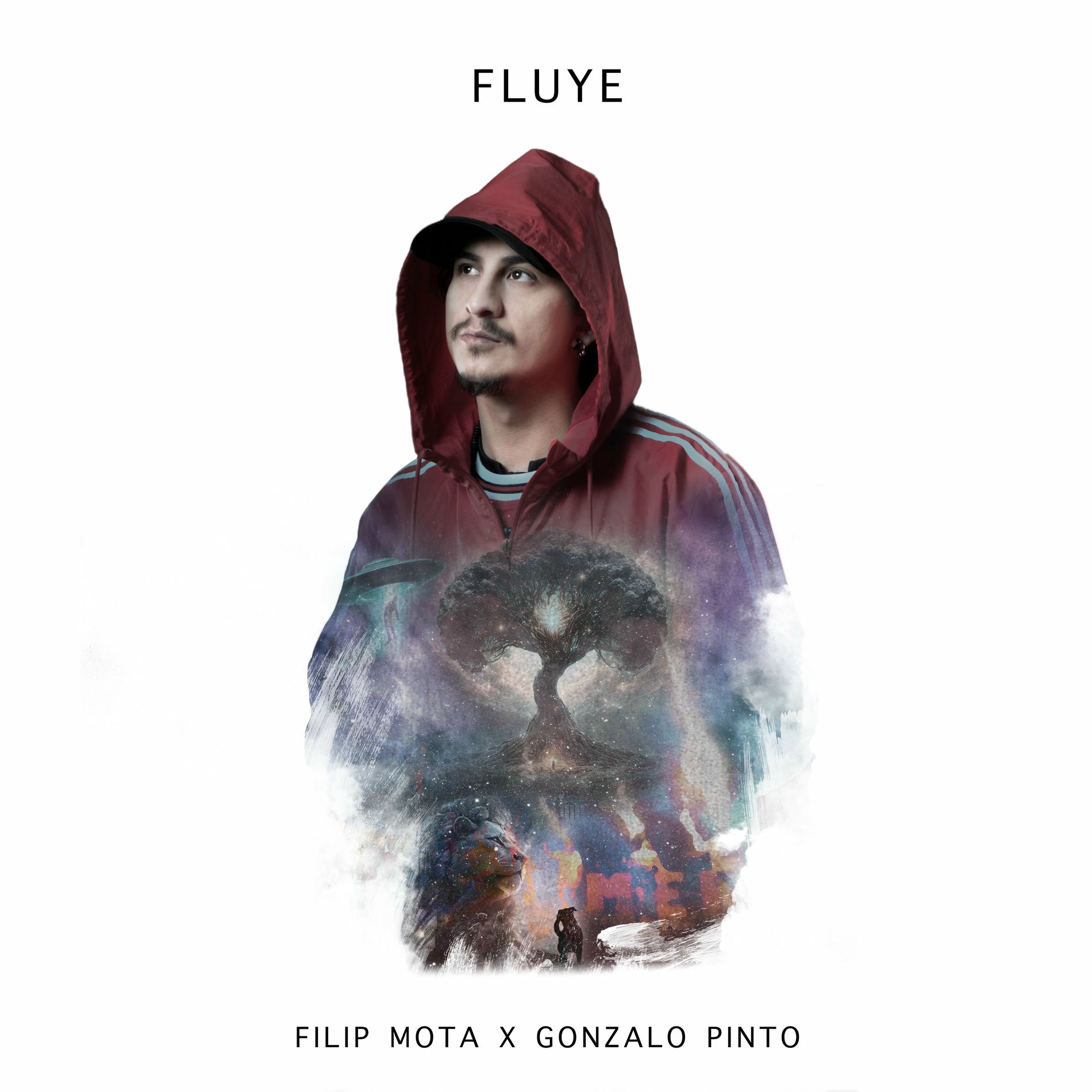 Album cover of Fluye