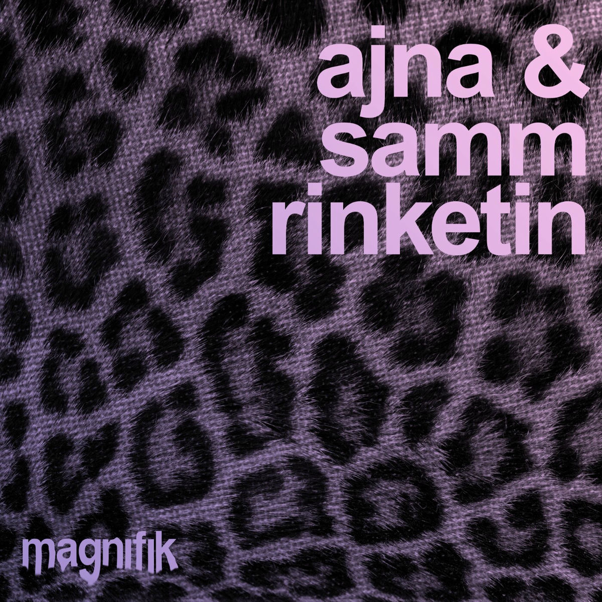 Album cover of Rinketin