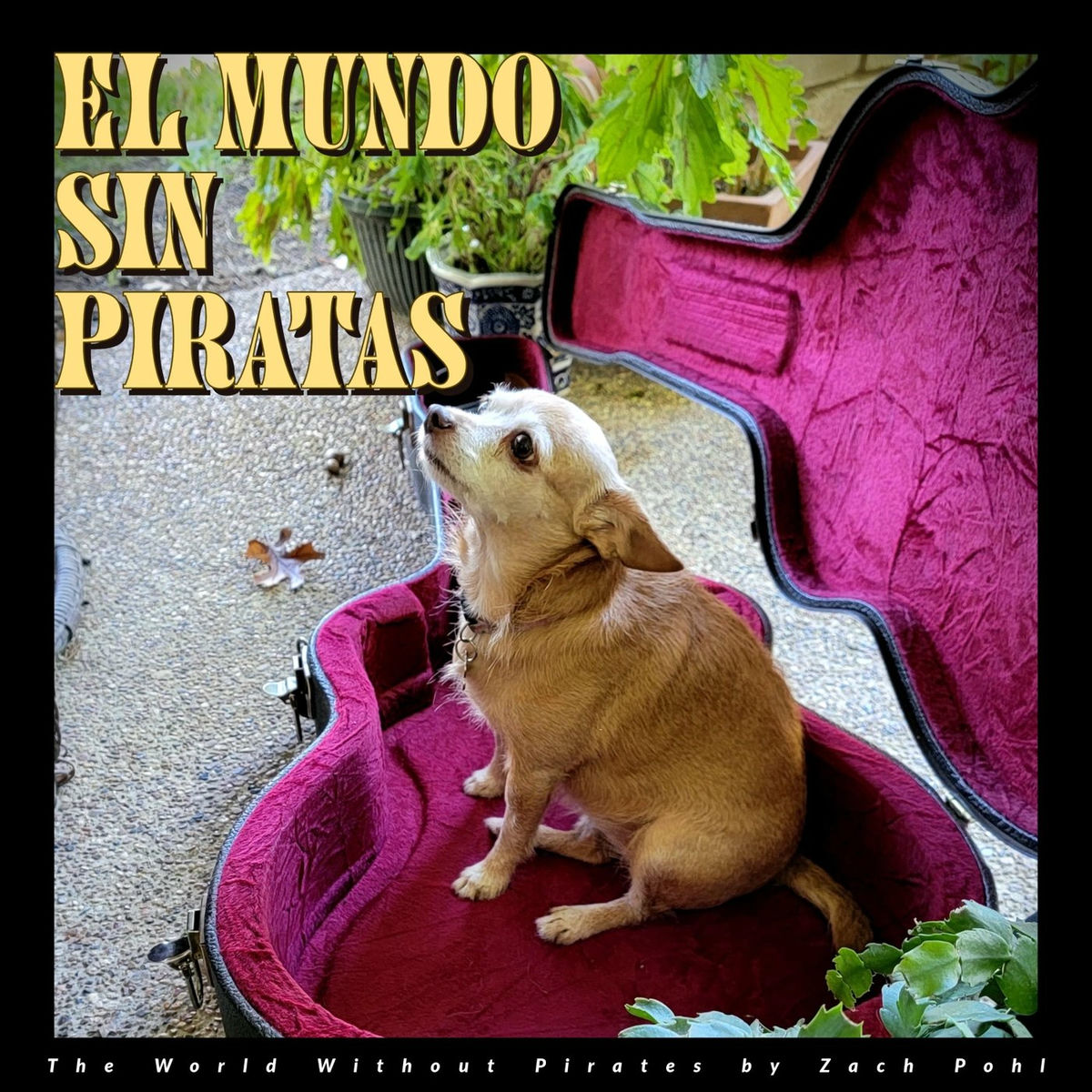 Album cover of El Mundo Sin Piratas