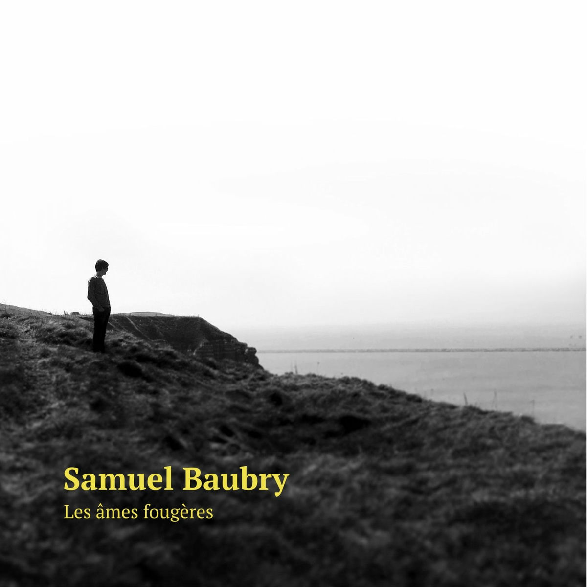 Album cover of Les âmes fougères
