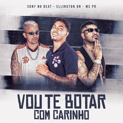 Cover of Vou Te Botar Com Carinho