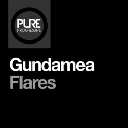 Cover of Flares