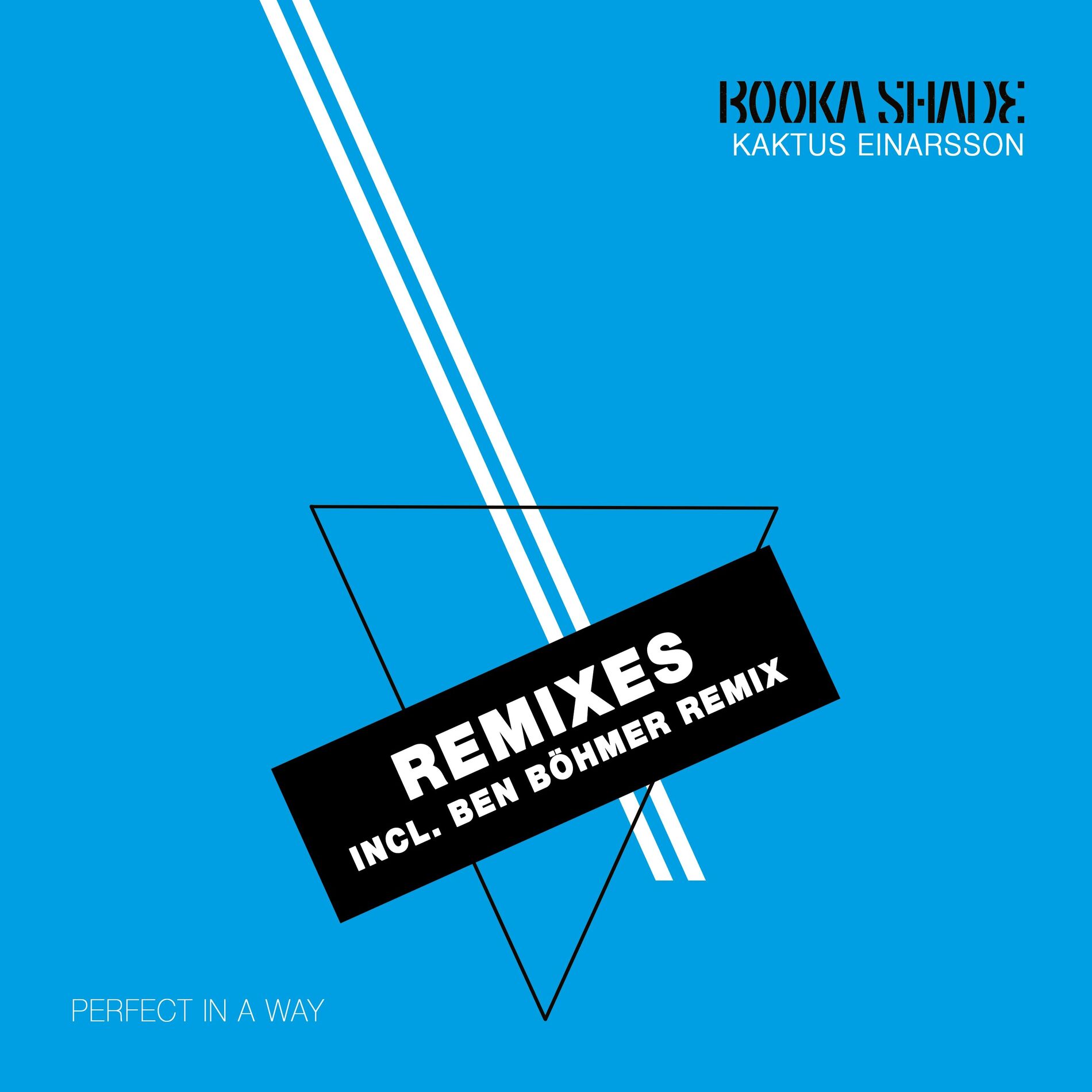 Album cover of Perfect in a Way