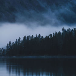 Cover of Shadows in Blue by undefined
