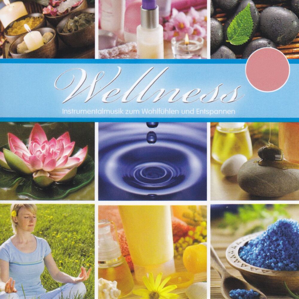 Picture of Wellness - Instrumentalmusik zum Wohlfühlen und Entspannen, Vol. 2