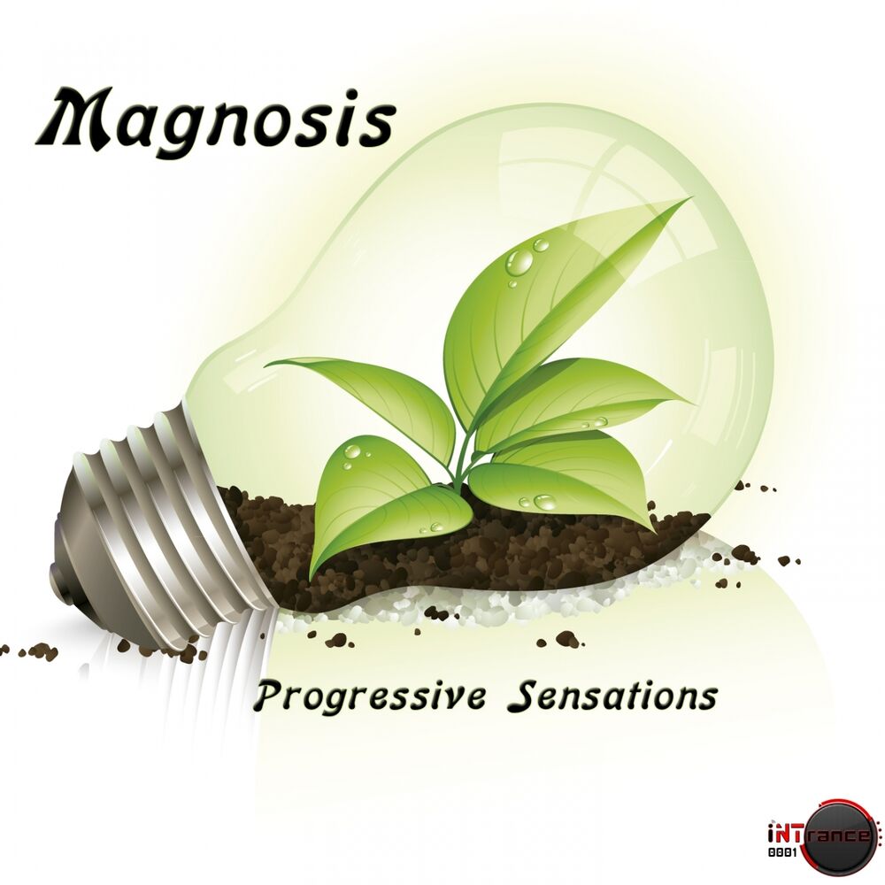 Picture of Progressive Sensations