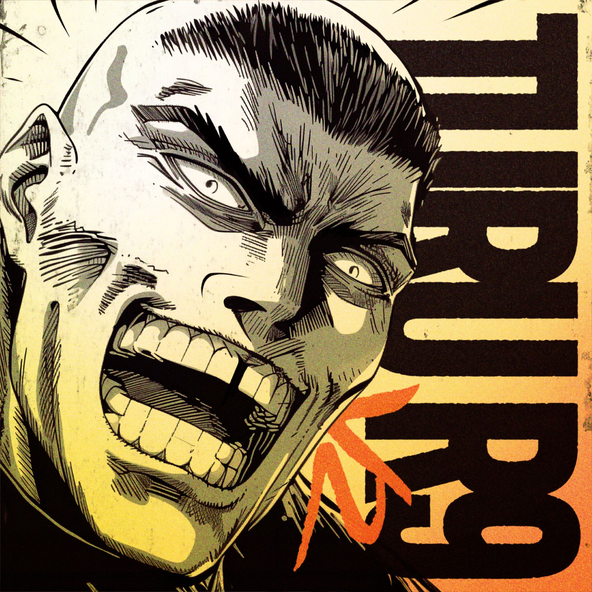 Album cover of TURU R9, Vol. 2