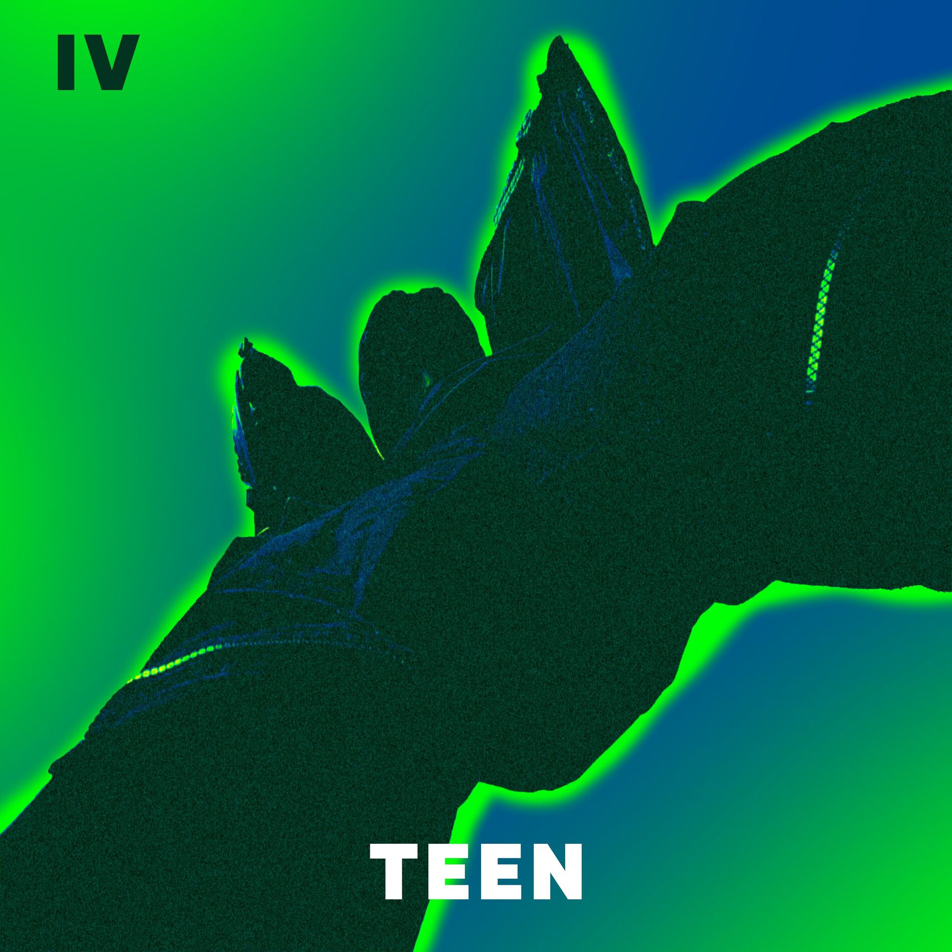 Album cover of TEEN