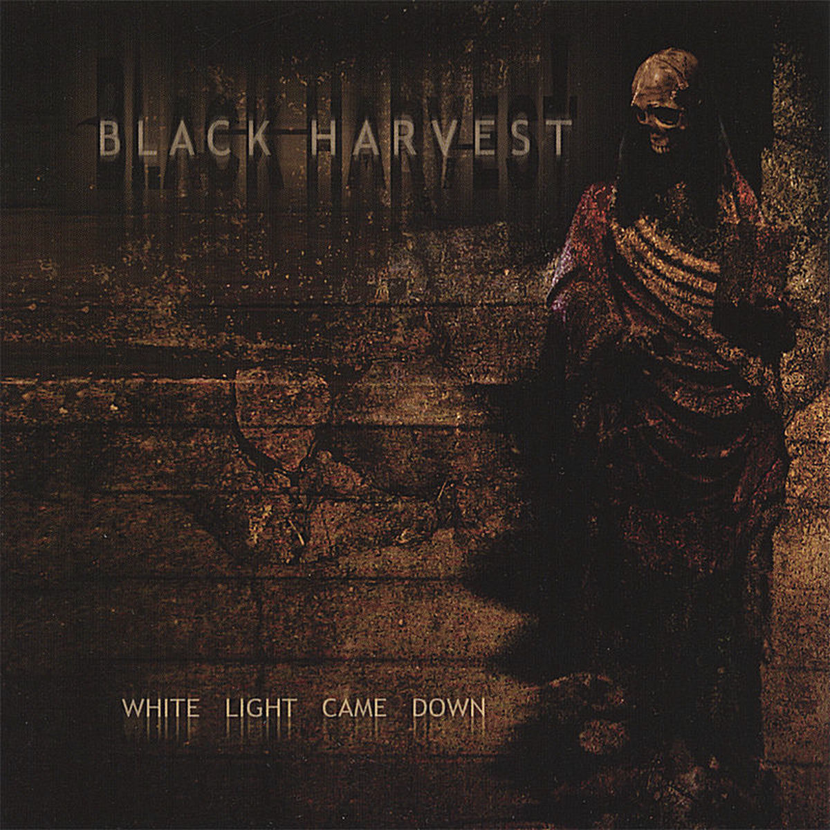 Album cover of White Light Came Down