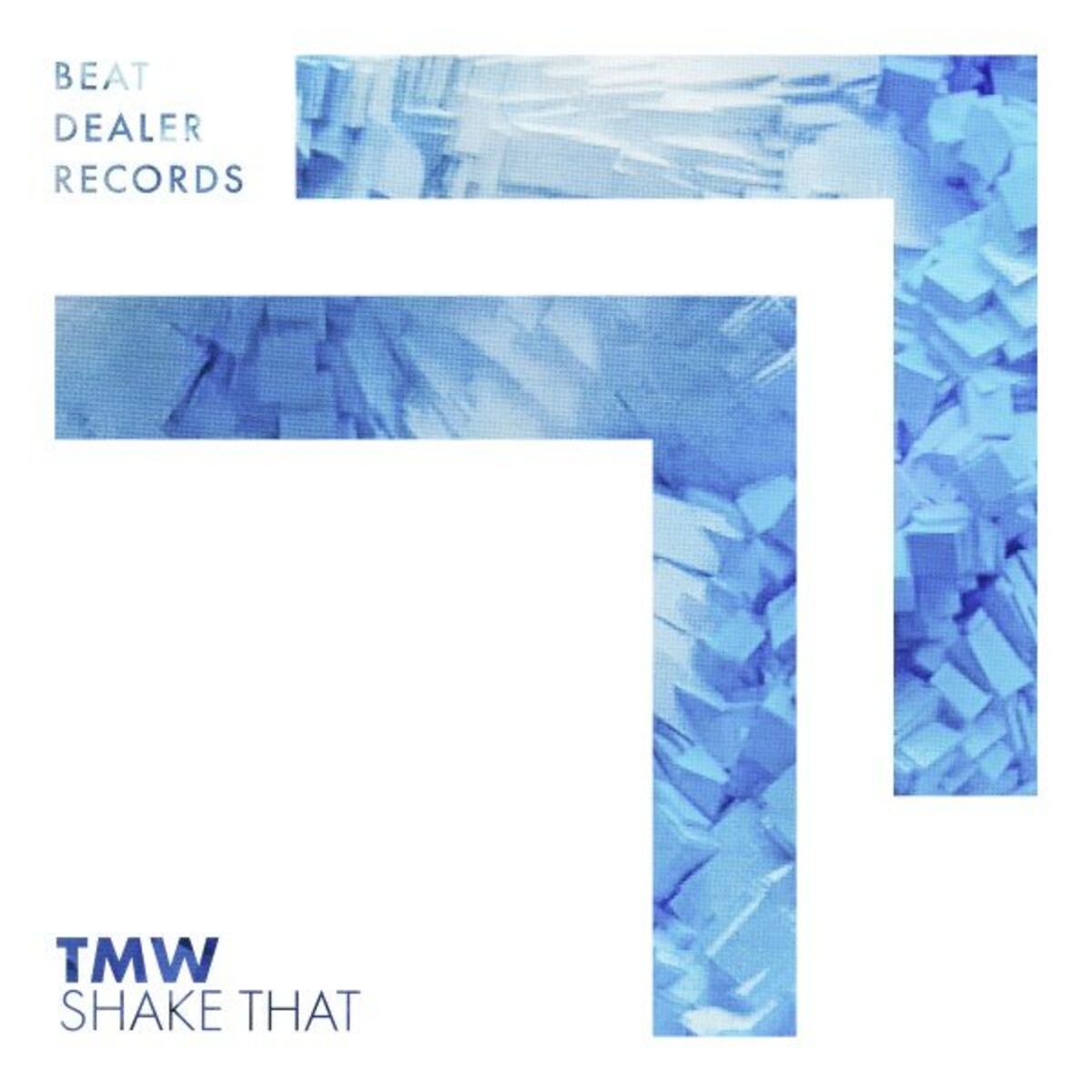 Album cover of Shake That