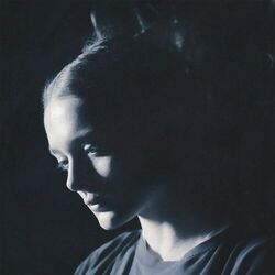 Cover of Bodybag