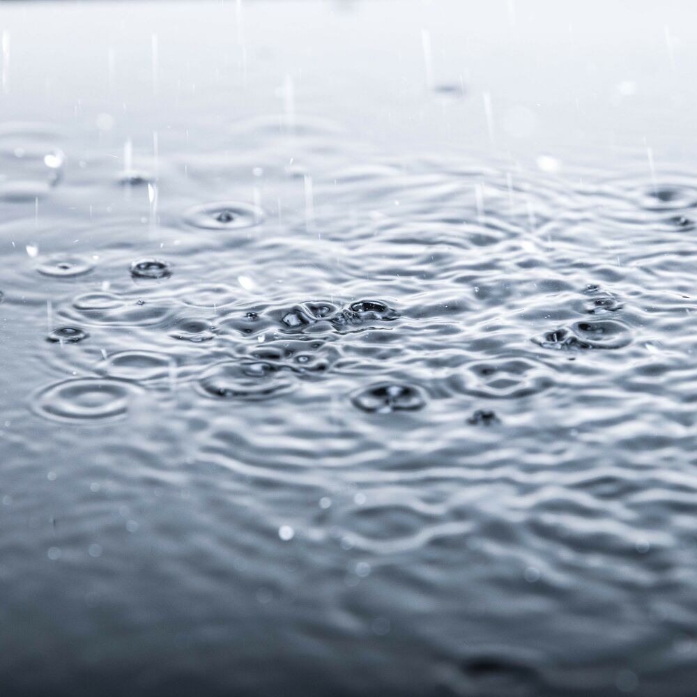 Picture of Raindrop Serenity: Calmness in Every Drop
