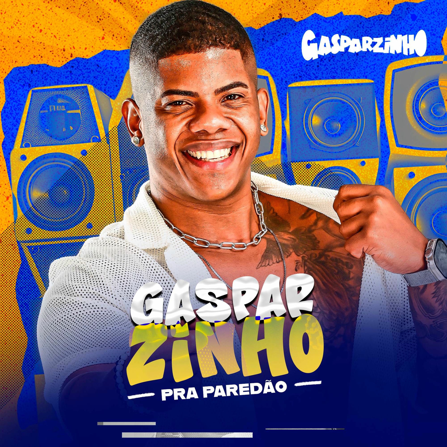 Album cover of Pra Paredão