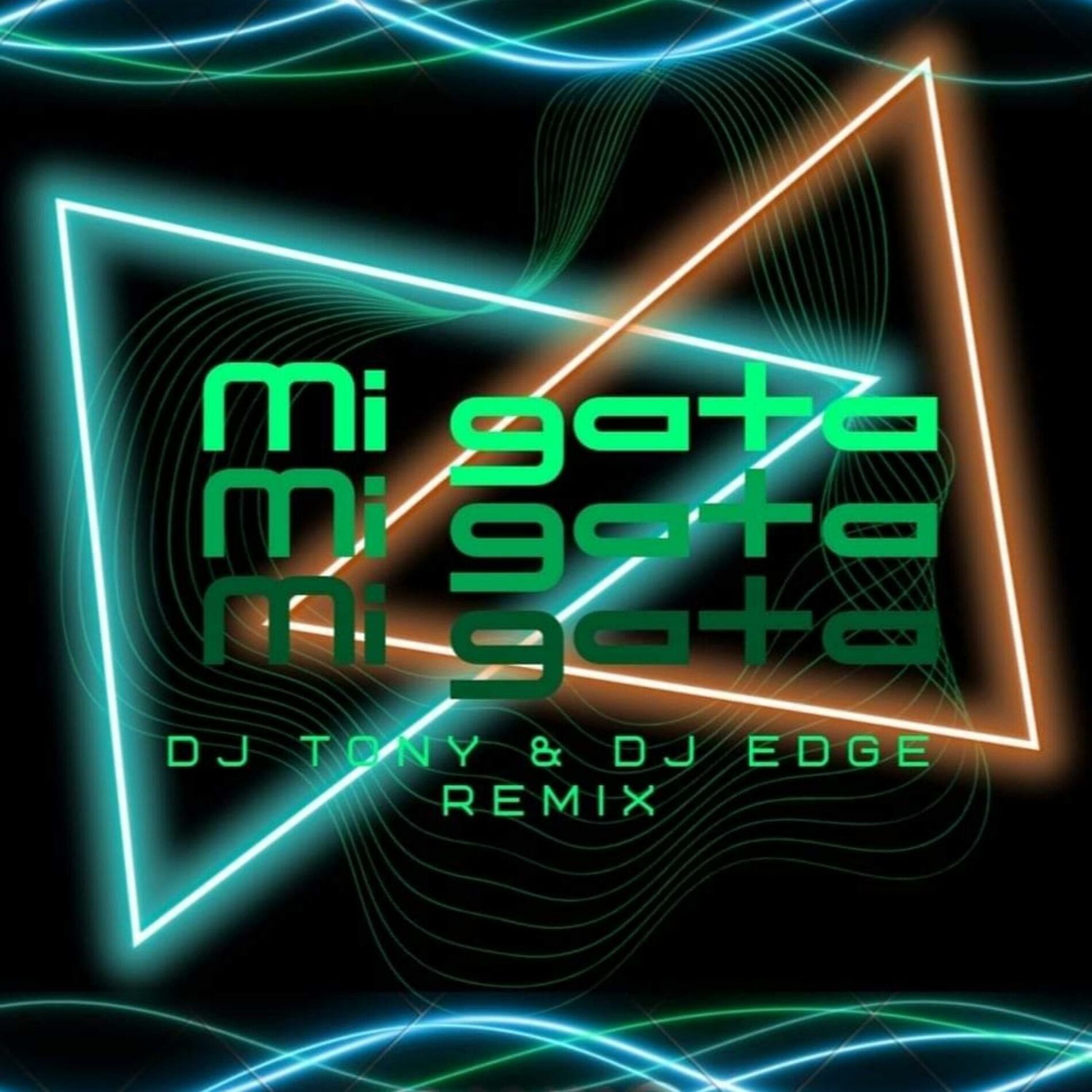 Album cover of Mi gata (feat. DJ TONY)