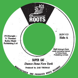 Cover of Dance Inna New York