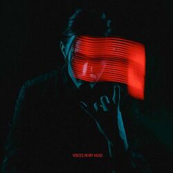 Cover of Voices In My Head