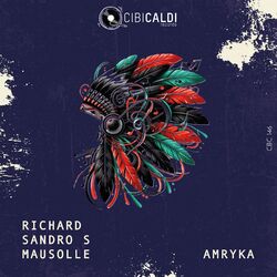 Cover of Amryka