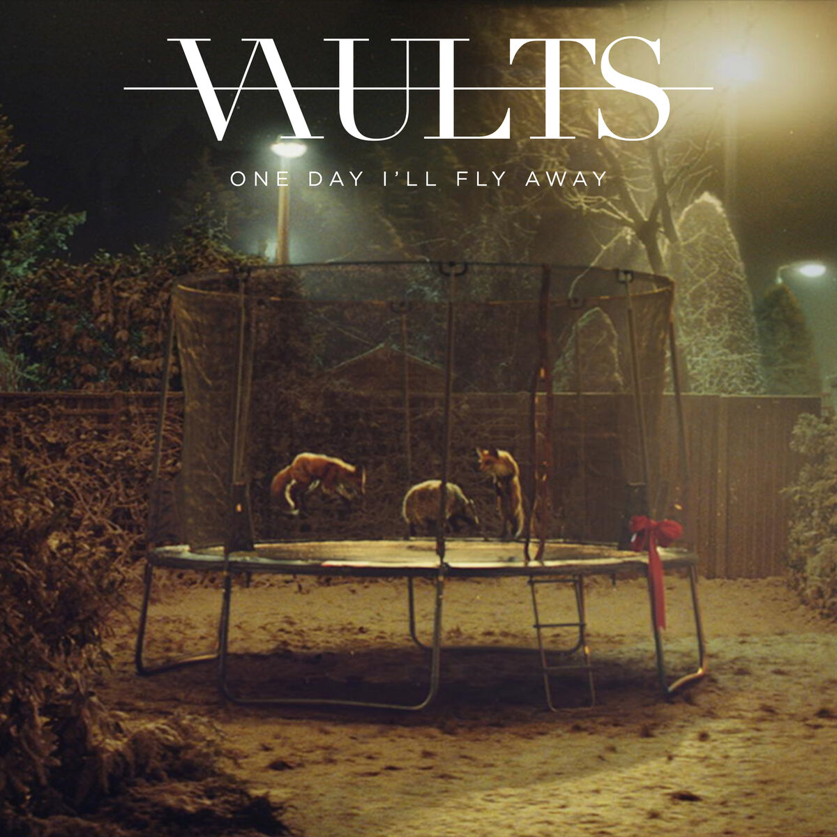 Album cover of One Day I'll Fly Away