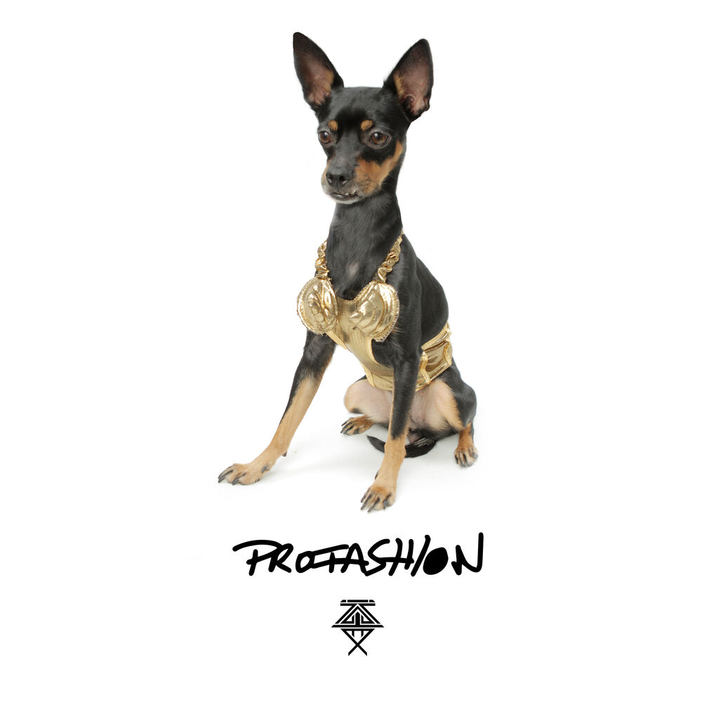 Picture of Profashion