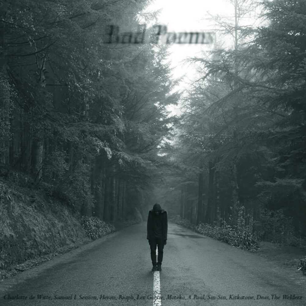 Picture of Bad Poems (Album Remixes)