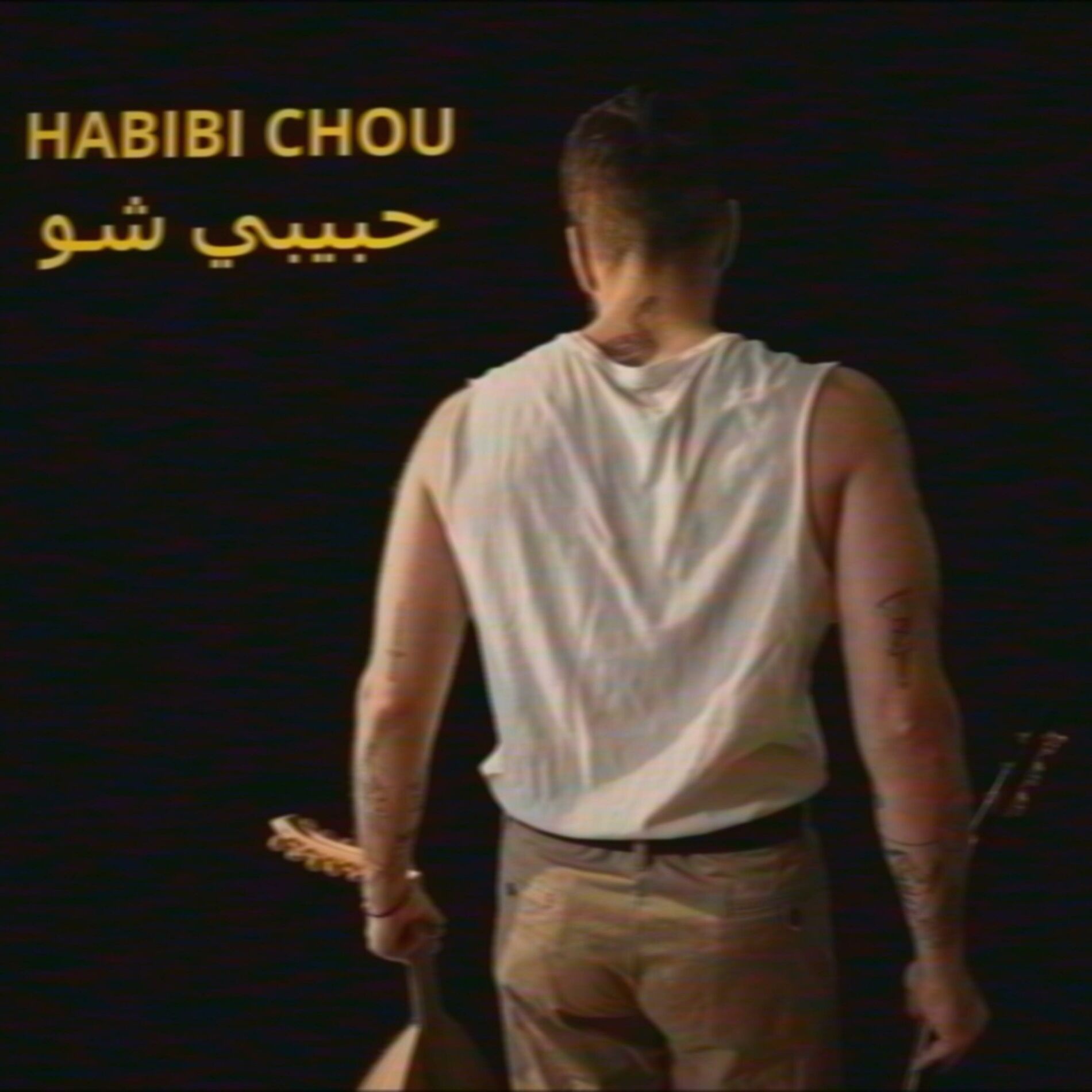 Album cover of Habibi Chou