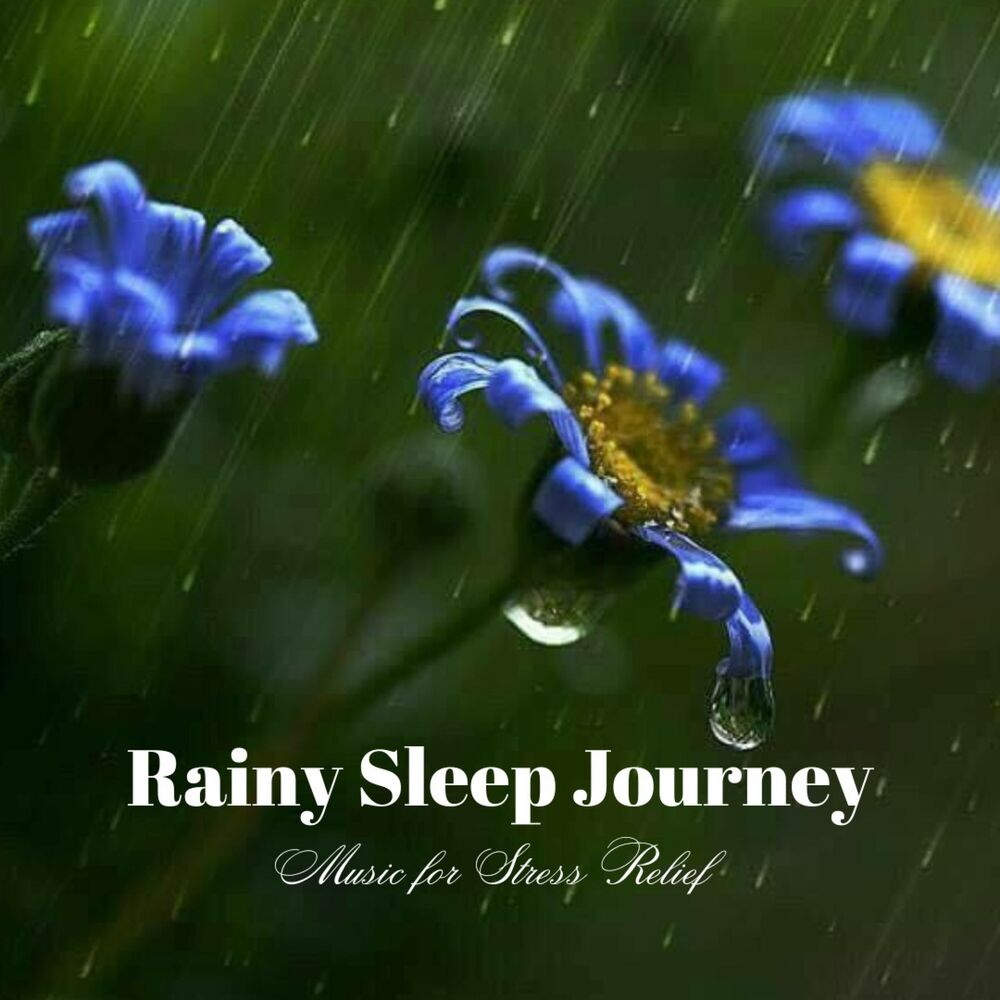 Picture of Rainy Sleep Journey: Music for Stress Relief