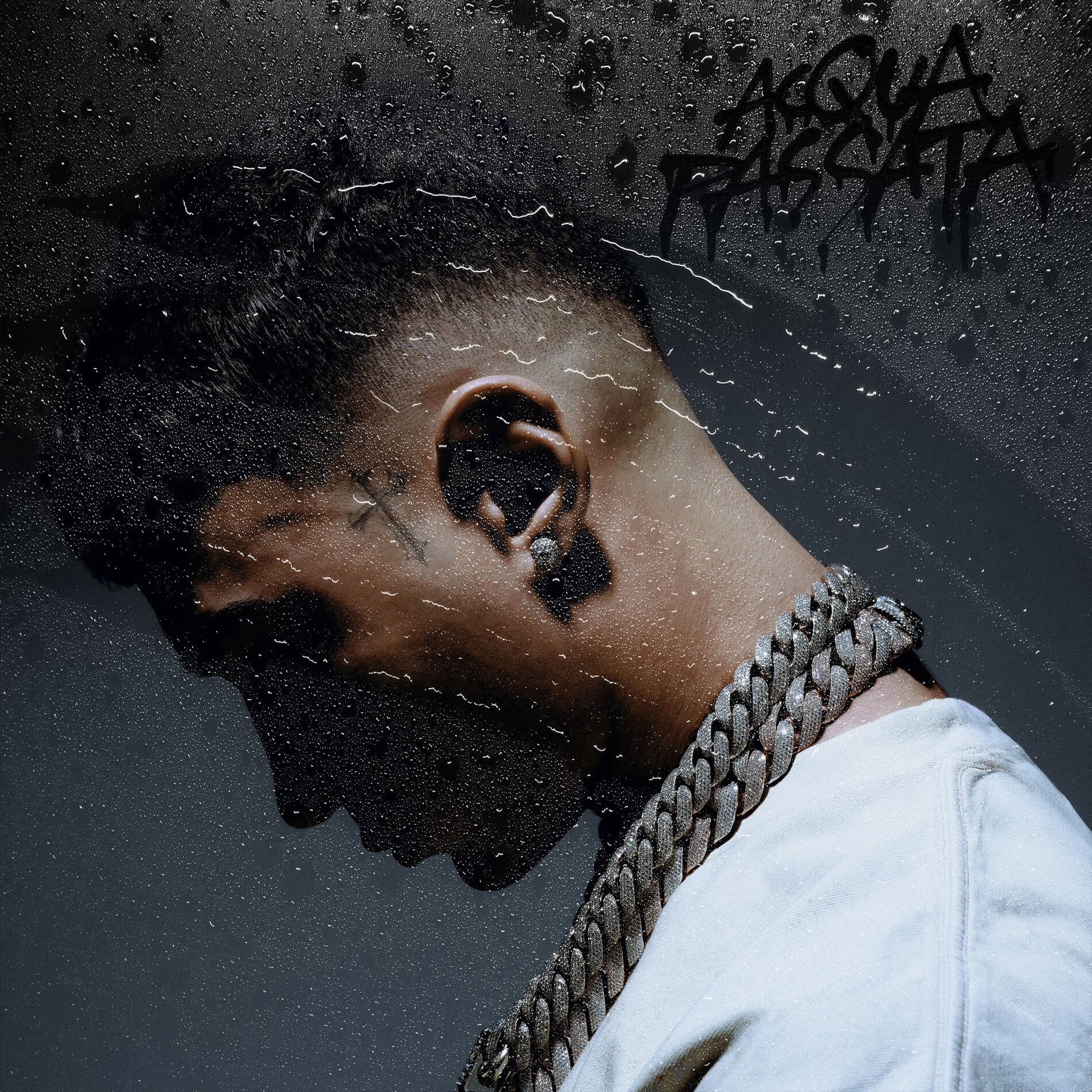 Album cover of Acqua Passata