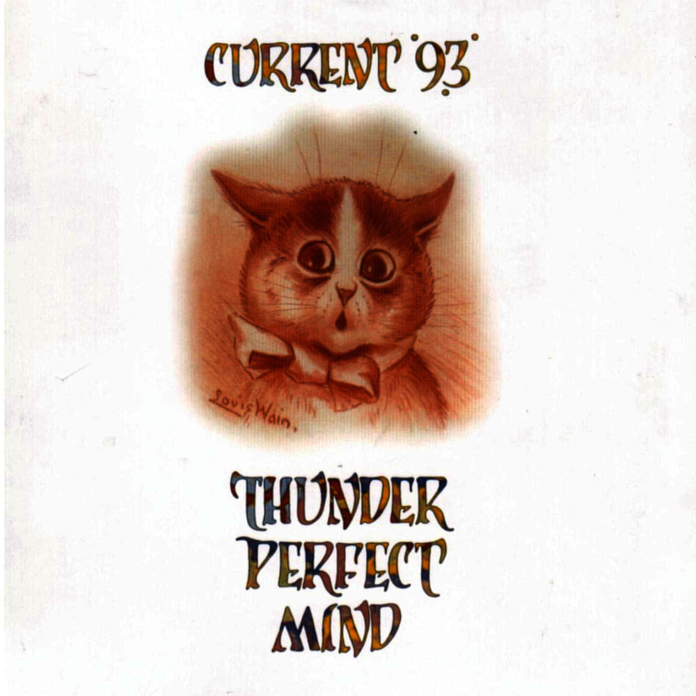 Picture of Thunder Perfect Mind