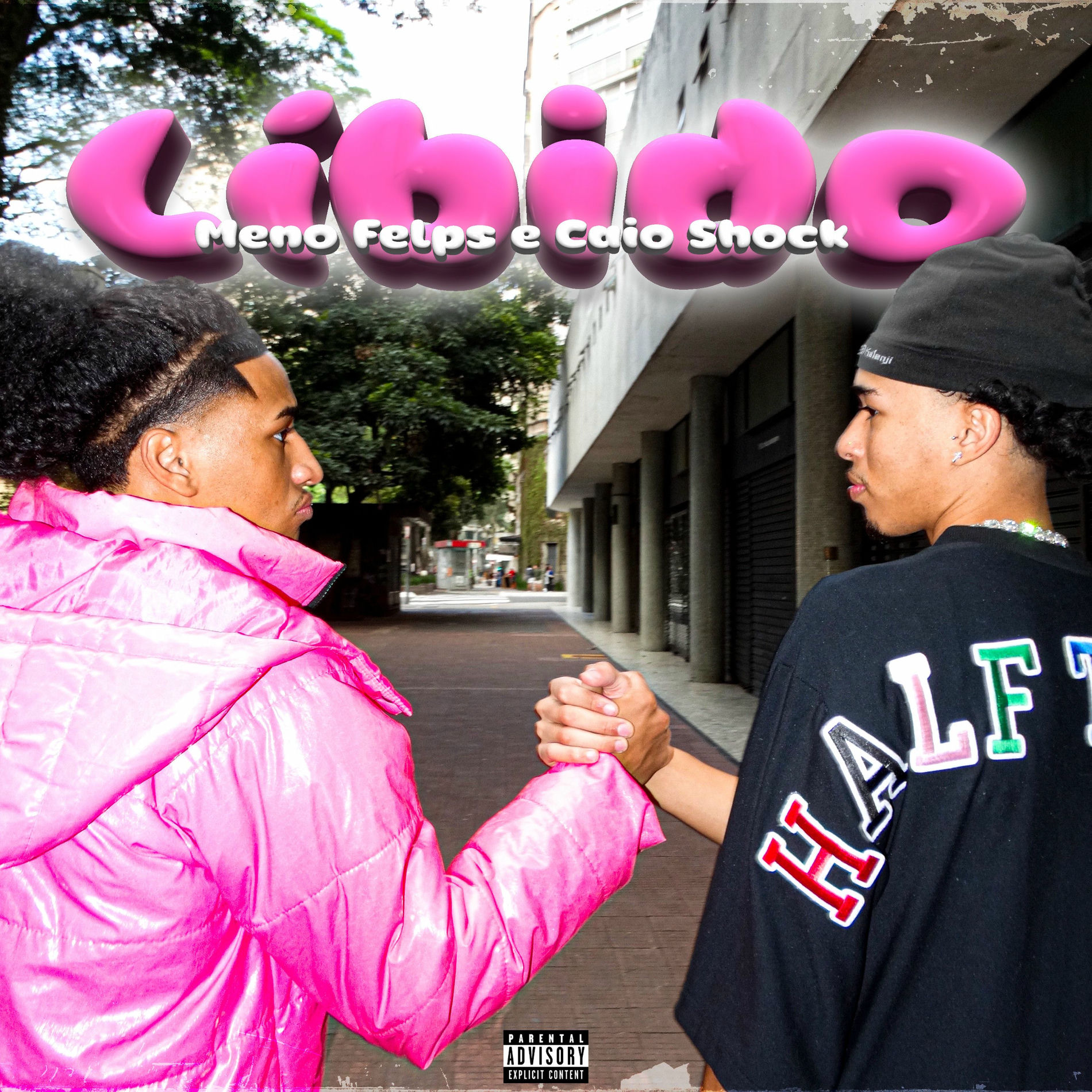 Album cover of Libido
