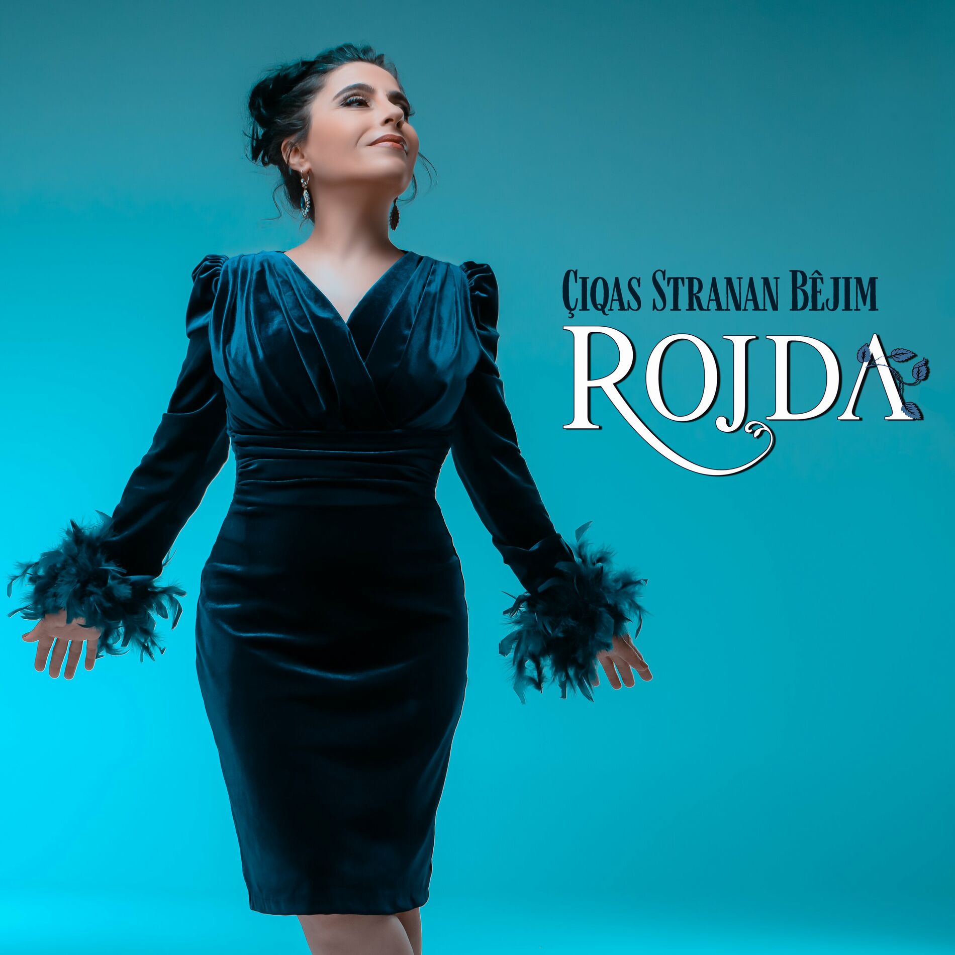 Album cover of Çiqas Stranan Bibêjim