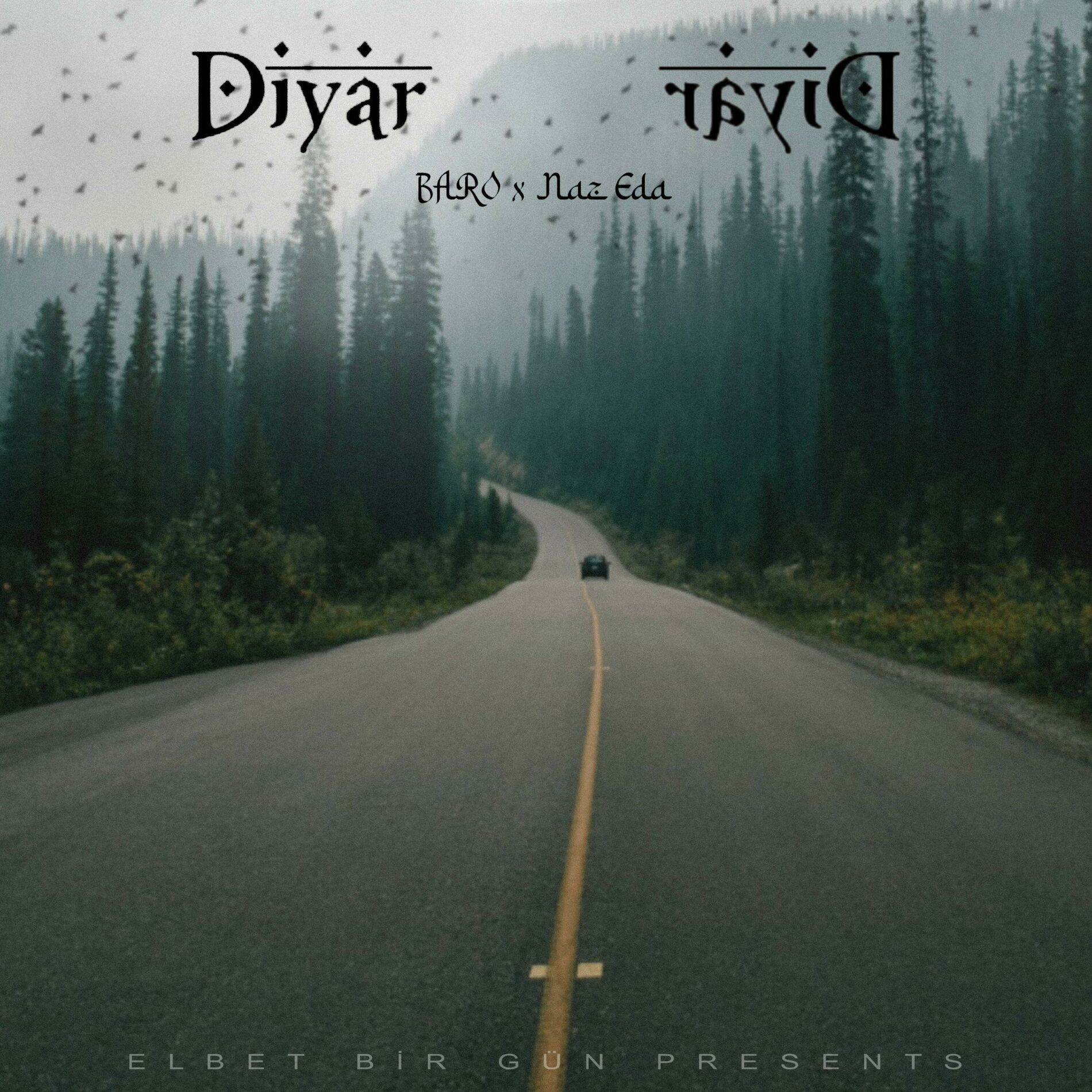 Album cover of DİYAR DİYAR (feat. Naz Eda)