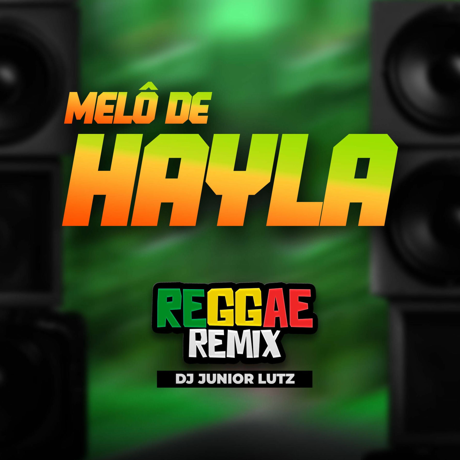 Album cover of Melô de Hayla (Reggae Remix)