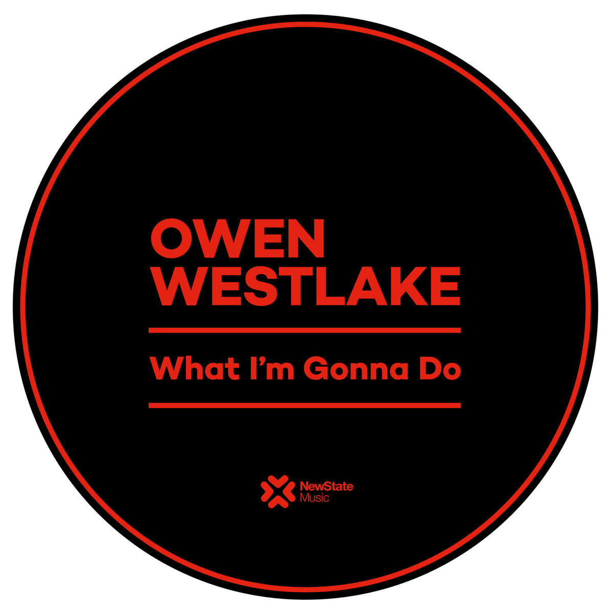 Album cover of What I'm Gonna Do