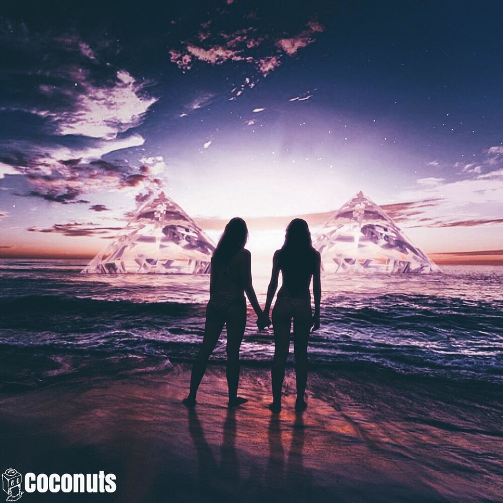 Picture of Coconuts